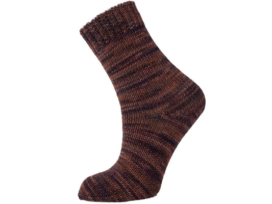 Lot of 2 x 100gr Skeins Ice Yarns HAND DYED SOCK MERINO (75% Superwash Merino Wool) Yarn Brown Shades Maroon Shades
