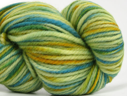 Organic Wool Bulky Hand Paint 3x100 gr