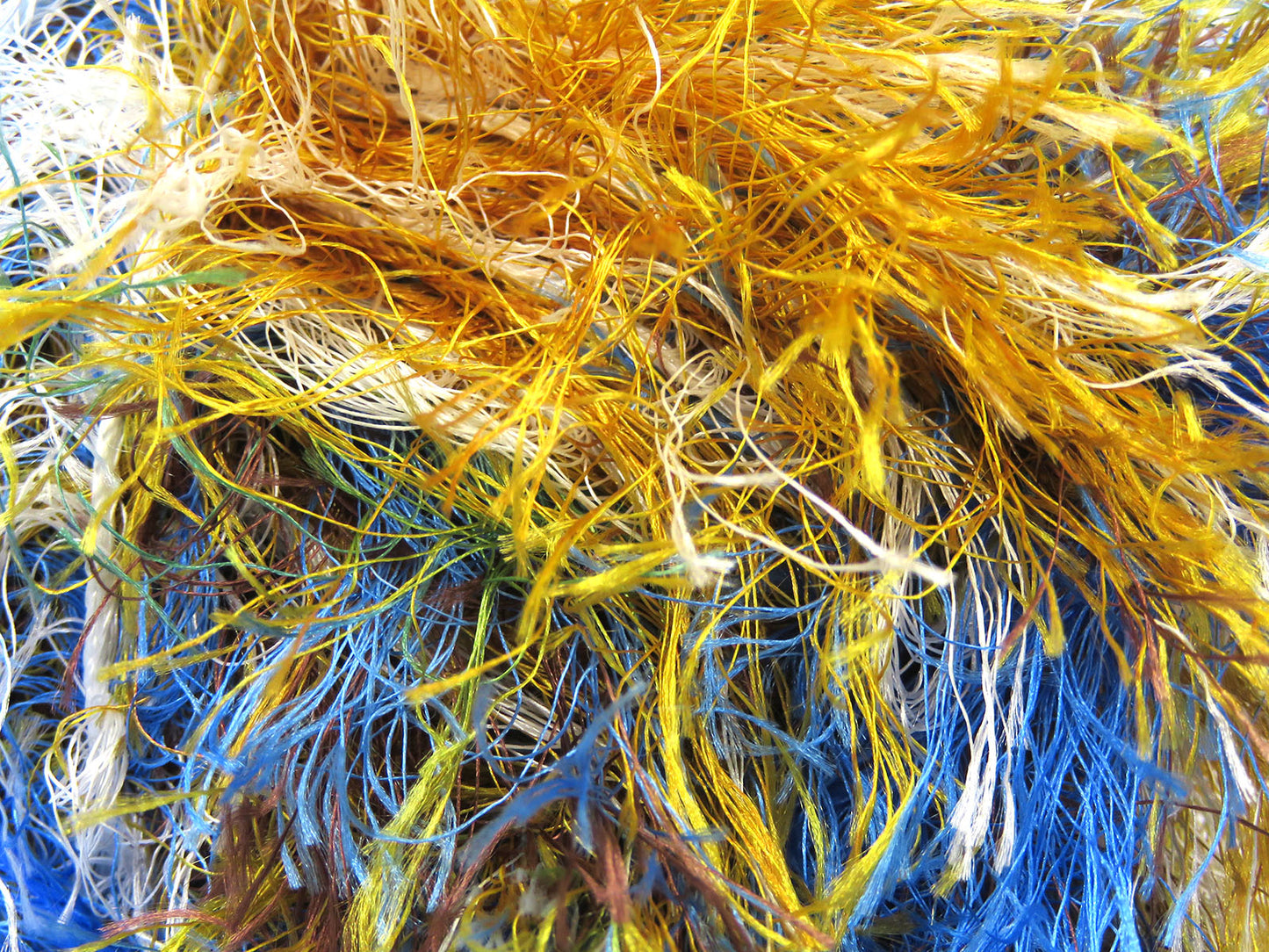 Long Eyelash Rainbow