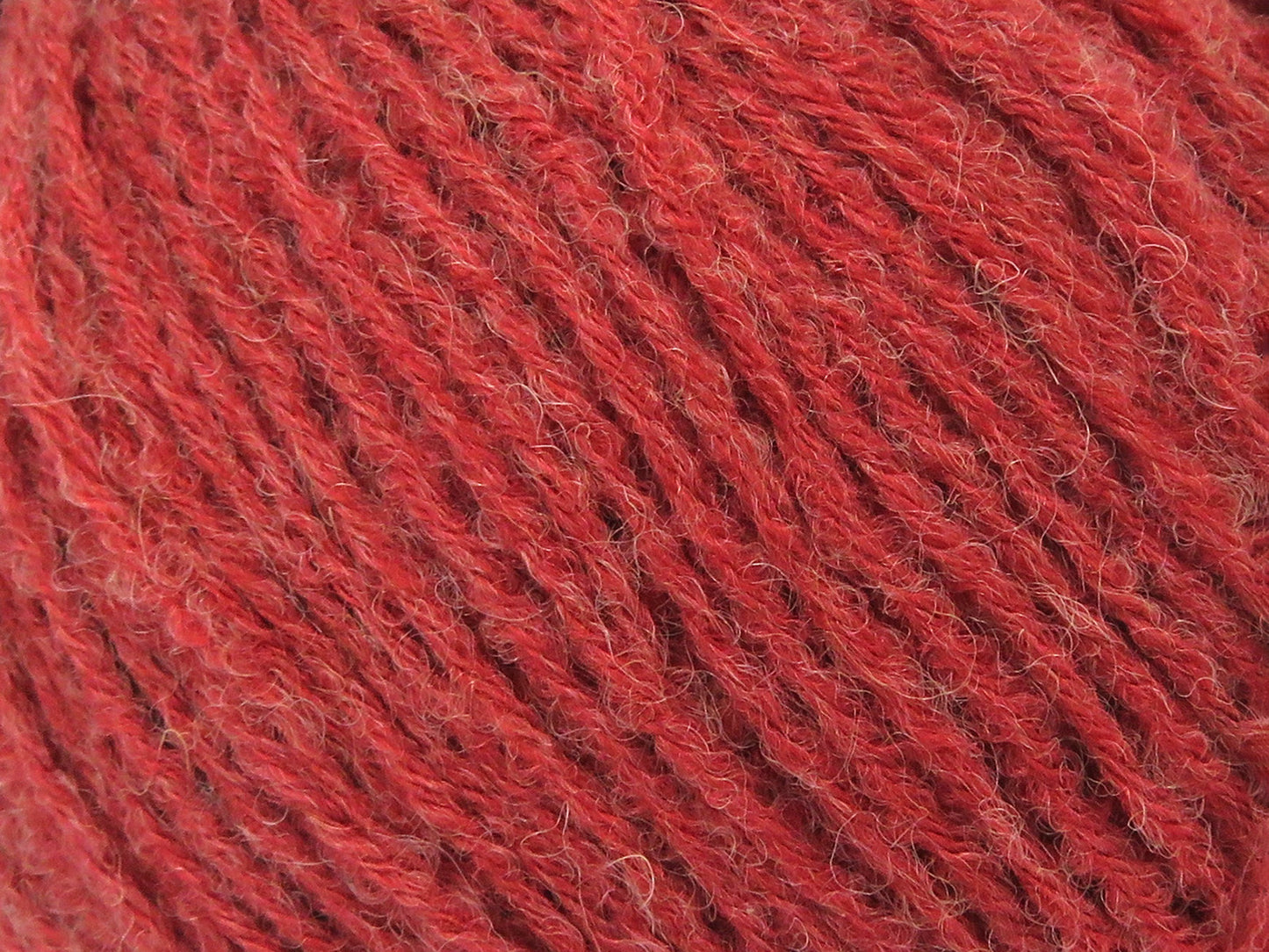 8x50gr Bambino Merino