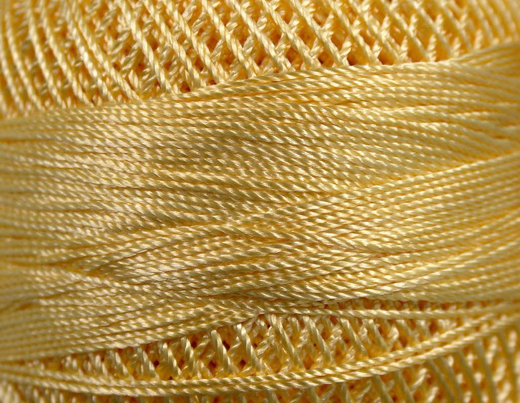 Tulip