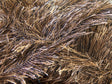 Brown, Camel