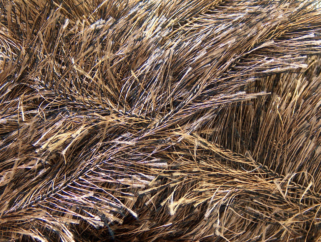 Eyelash 100gr