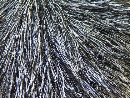Eyelash