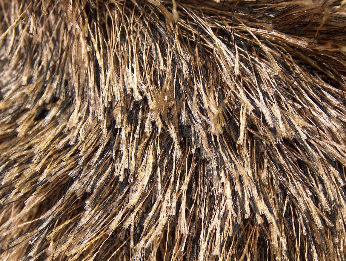 Eyelash