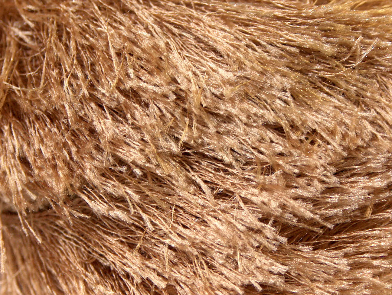 Eyelash
