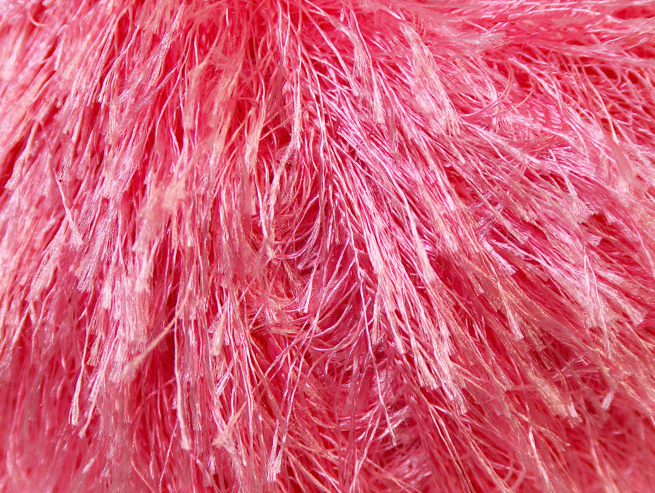 Eyelash