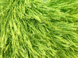 Verde Brillante