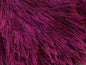Eyelash