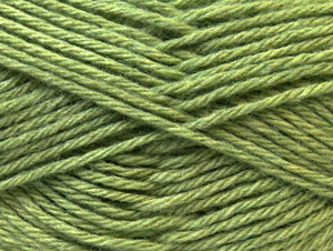 Zerda Alpaca