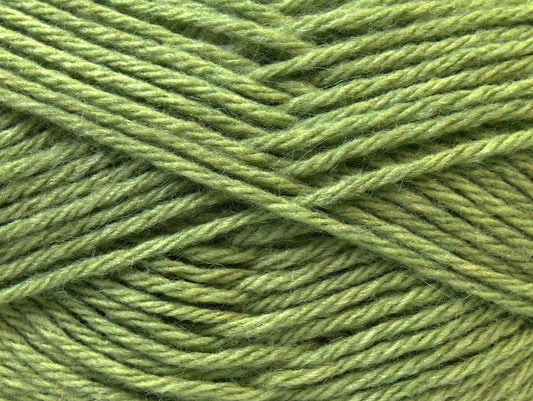 Zerda Alpaca