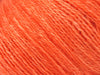 Salmon 2