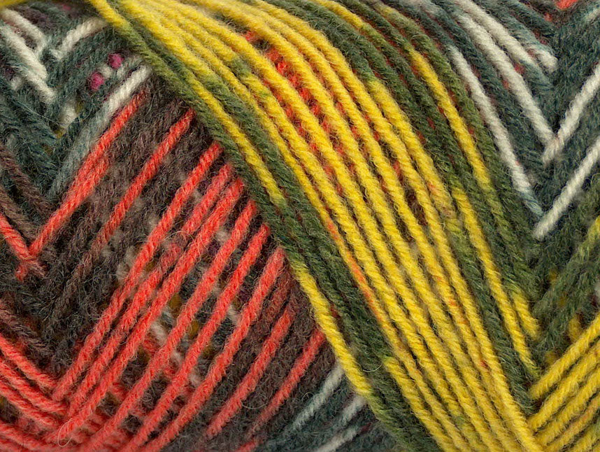 Bonito Ethnic