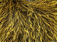 Amarillo, Negro