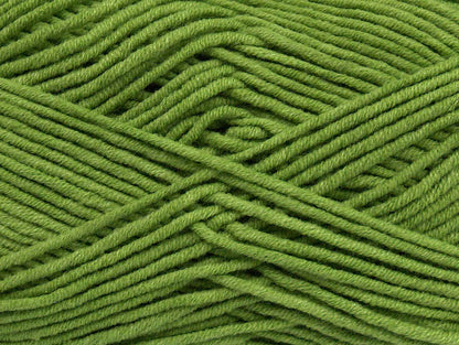 Lorena Worsted