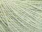 Silk Cotton