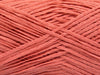 Salmon 2