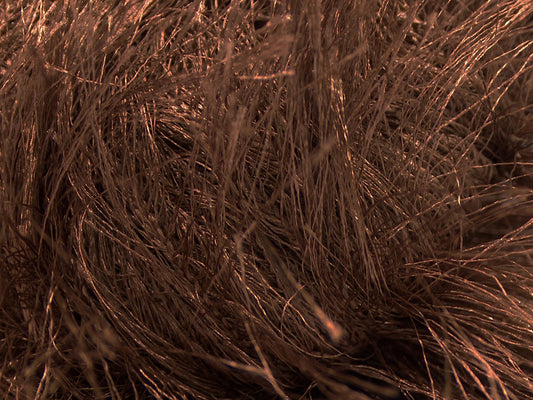 Long Eyelash