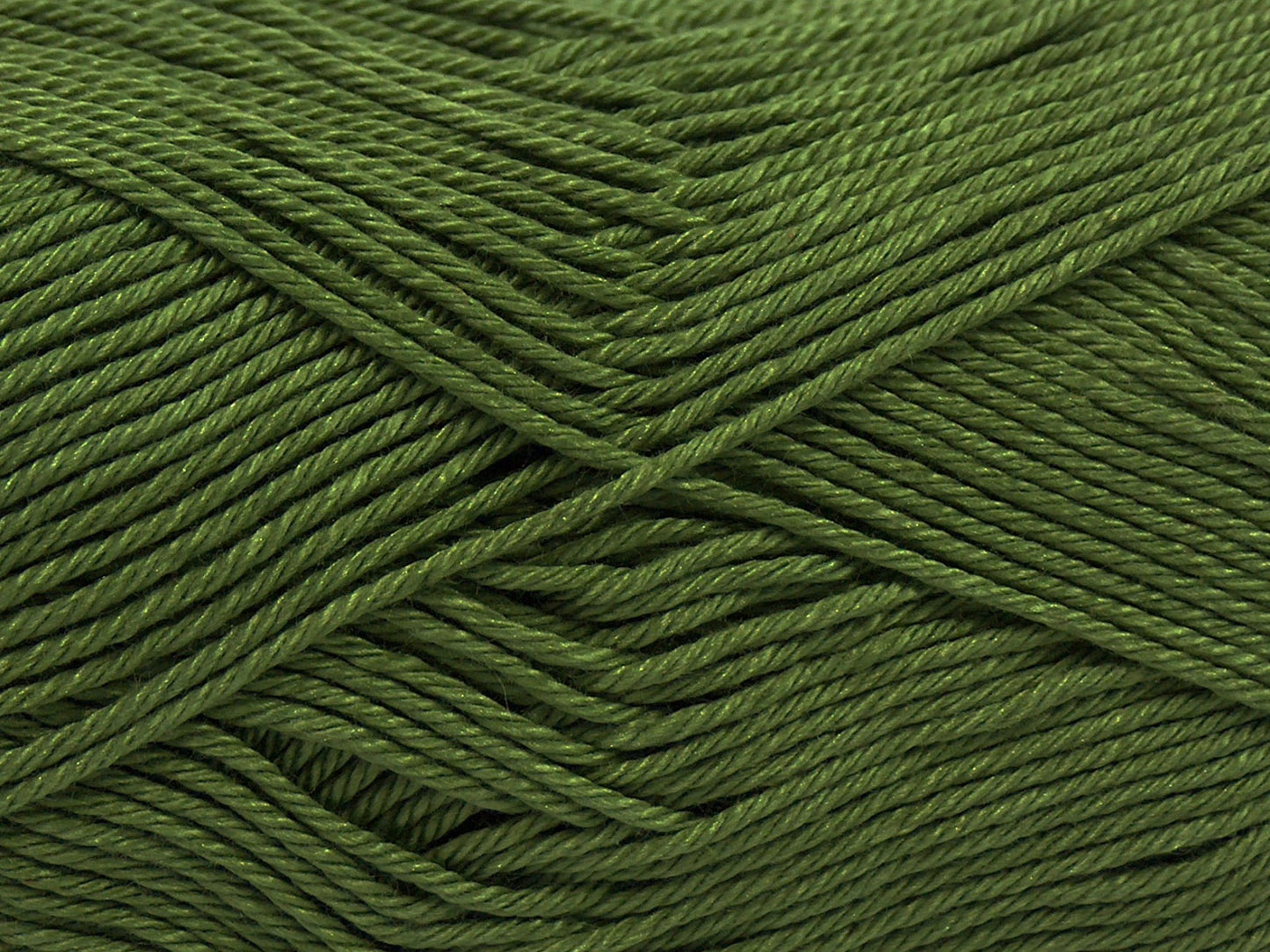 Giza Cotton