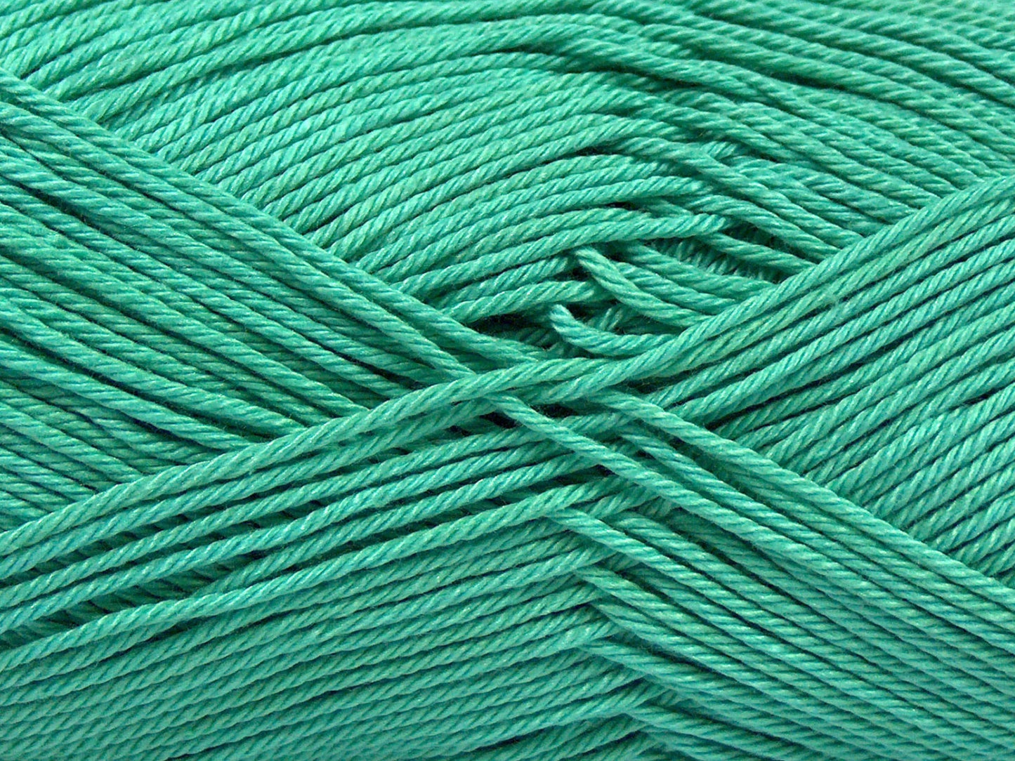 Giza Cotton