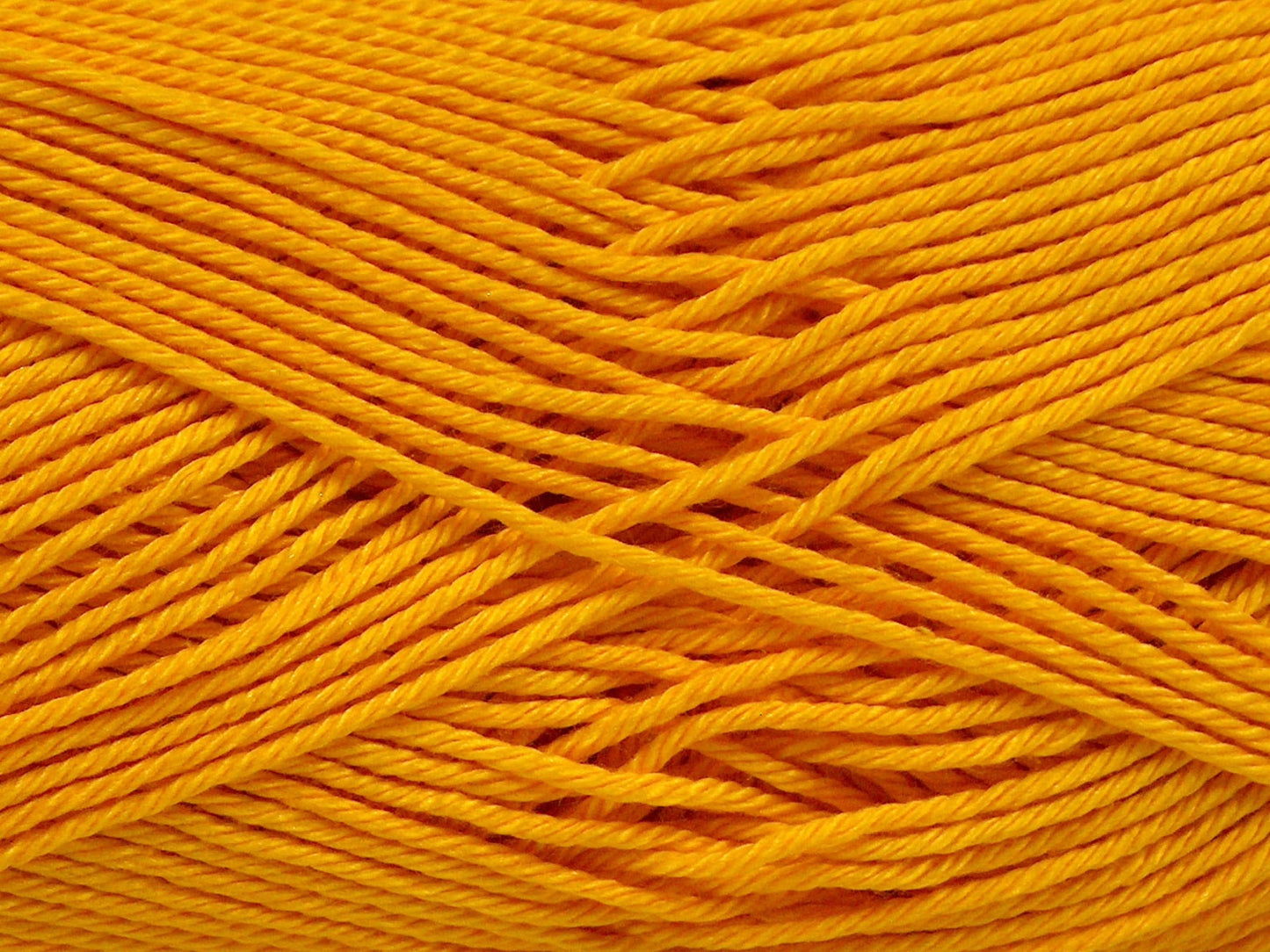 Giza Cotton