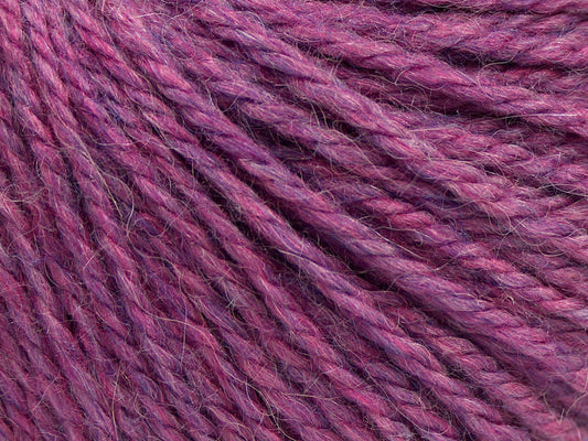 Alpaca Light