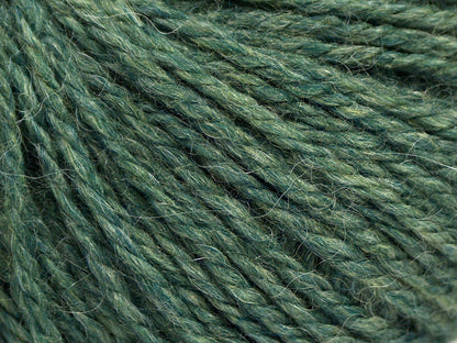 Alpaca Light