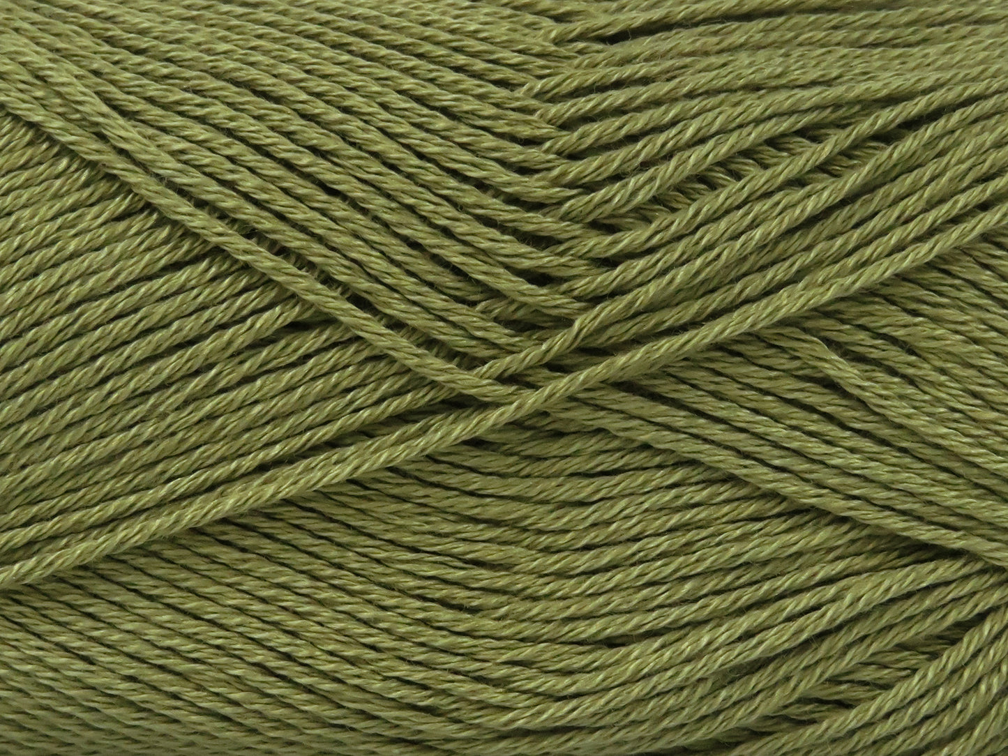 Almina Cotton