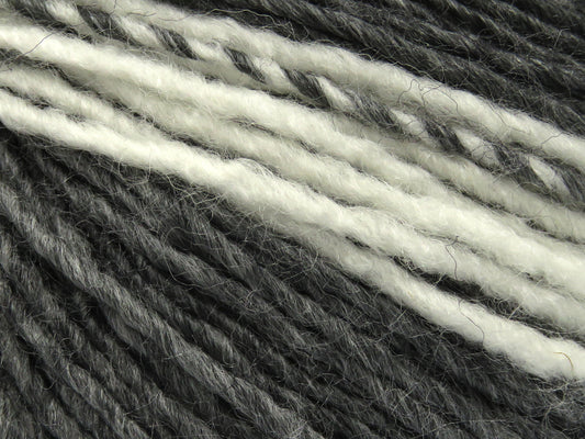Passion Wool 8x50 gr