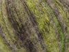 Nuances de vert, nuances de camel