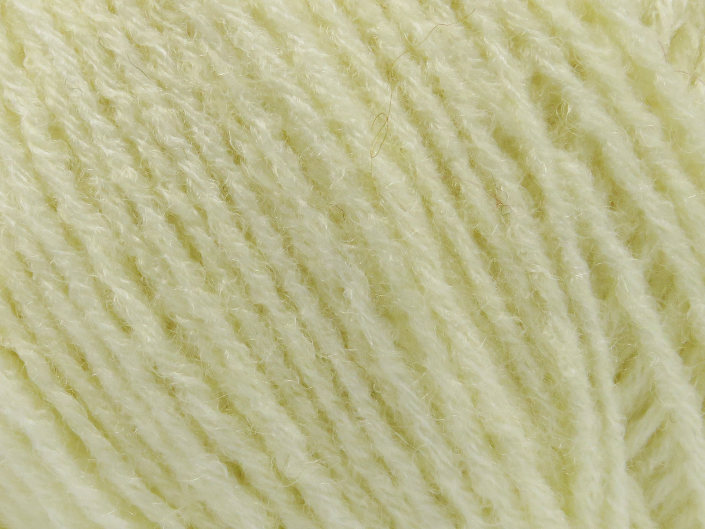 Bambino Merino