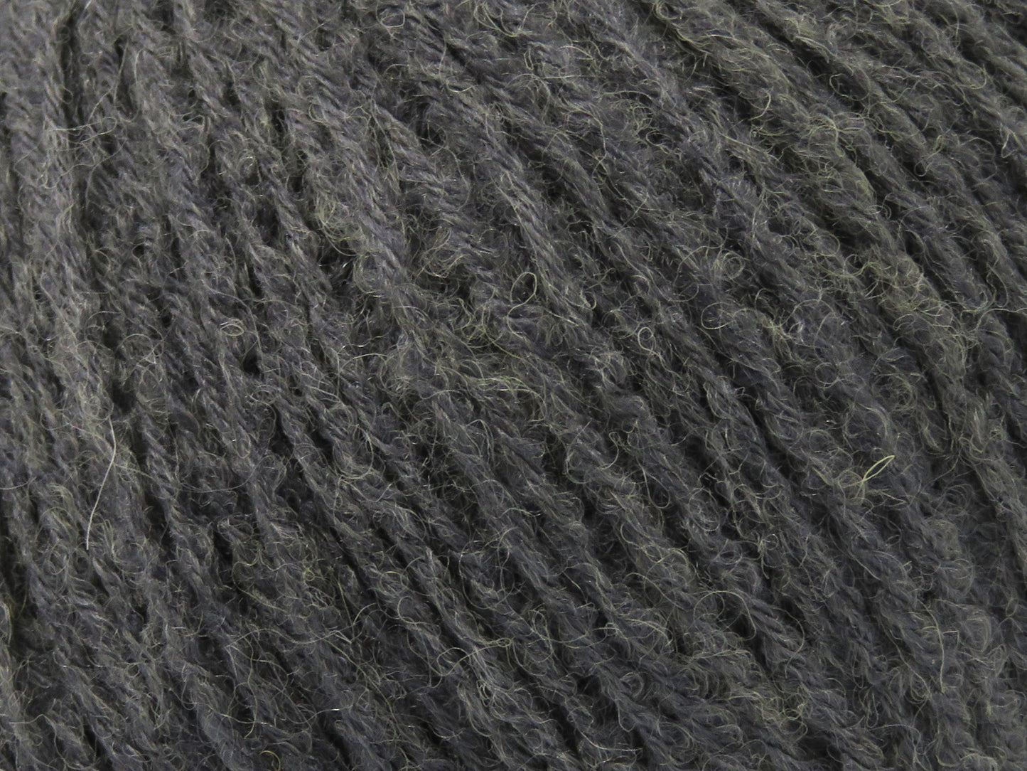 Bambino Merino