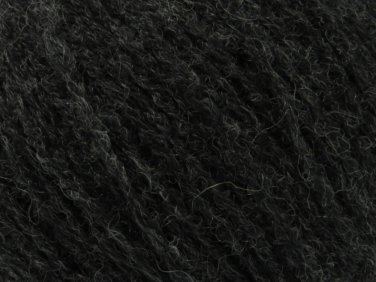 Bambino Merino