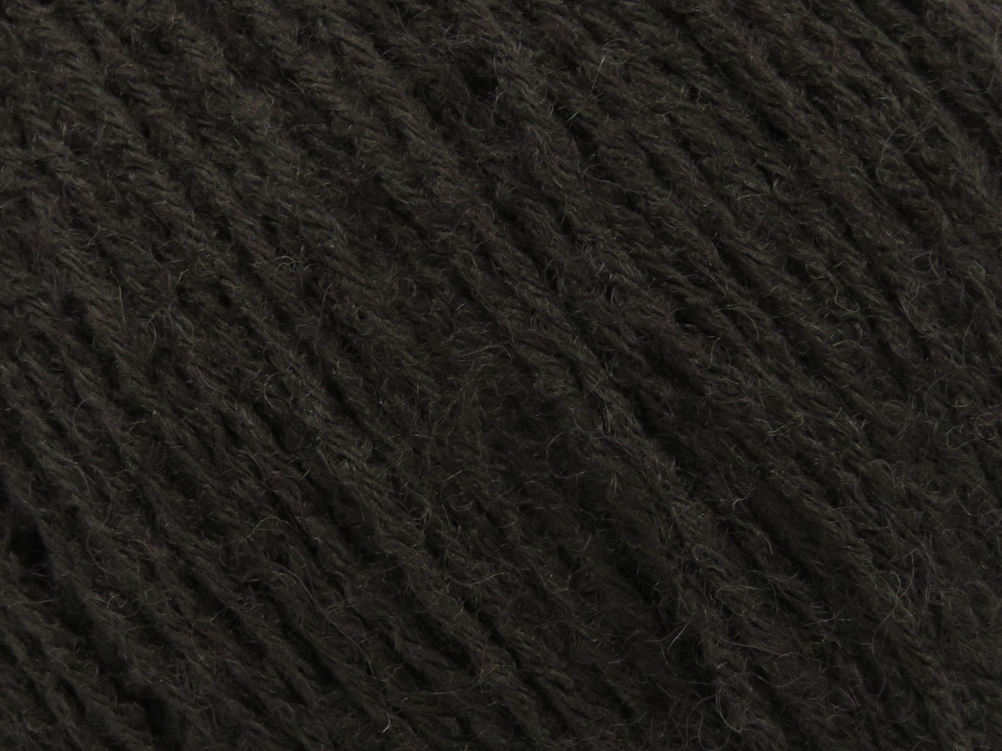 Bambino Merino