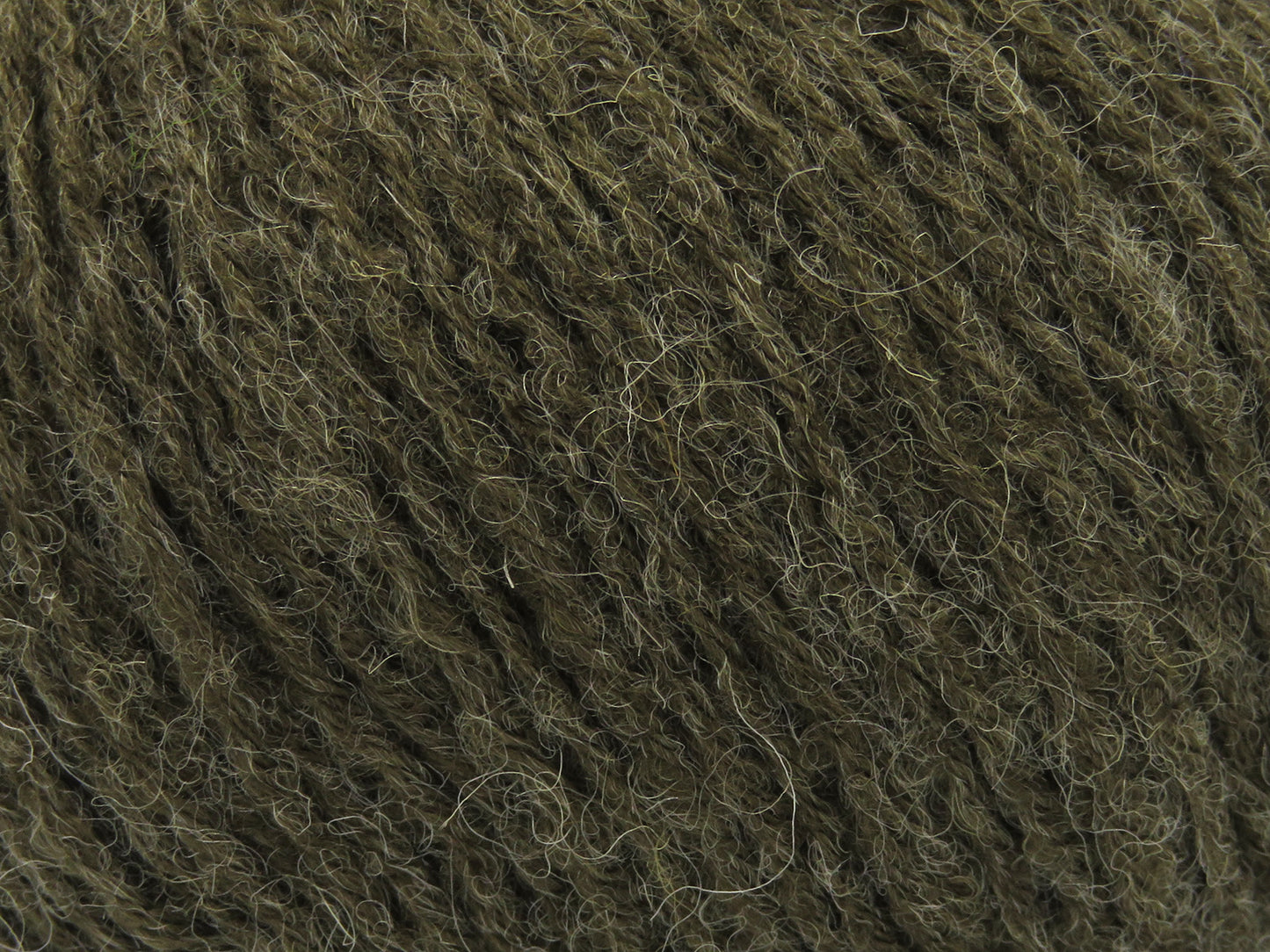 Bambino Merino