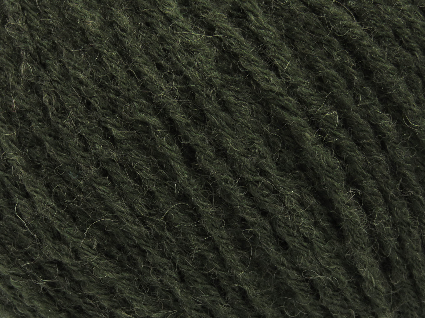 Bambino Merino