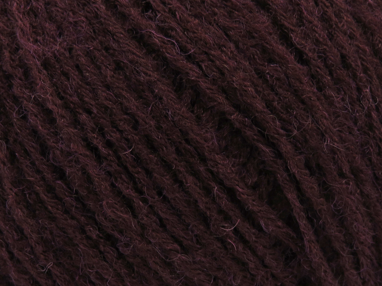 Bambino Merino