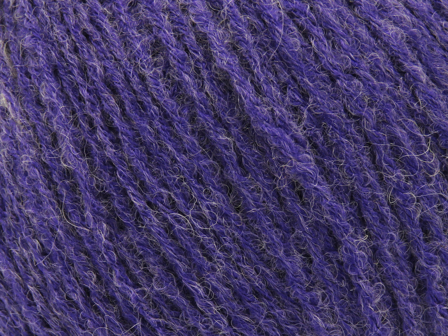 Bambino Merino
