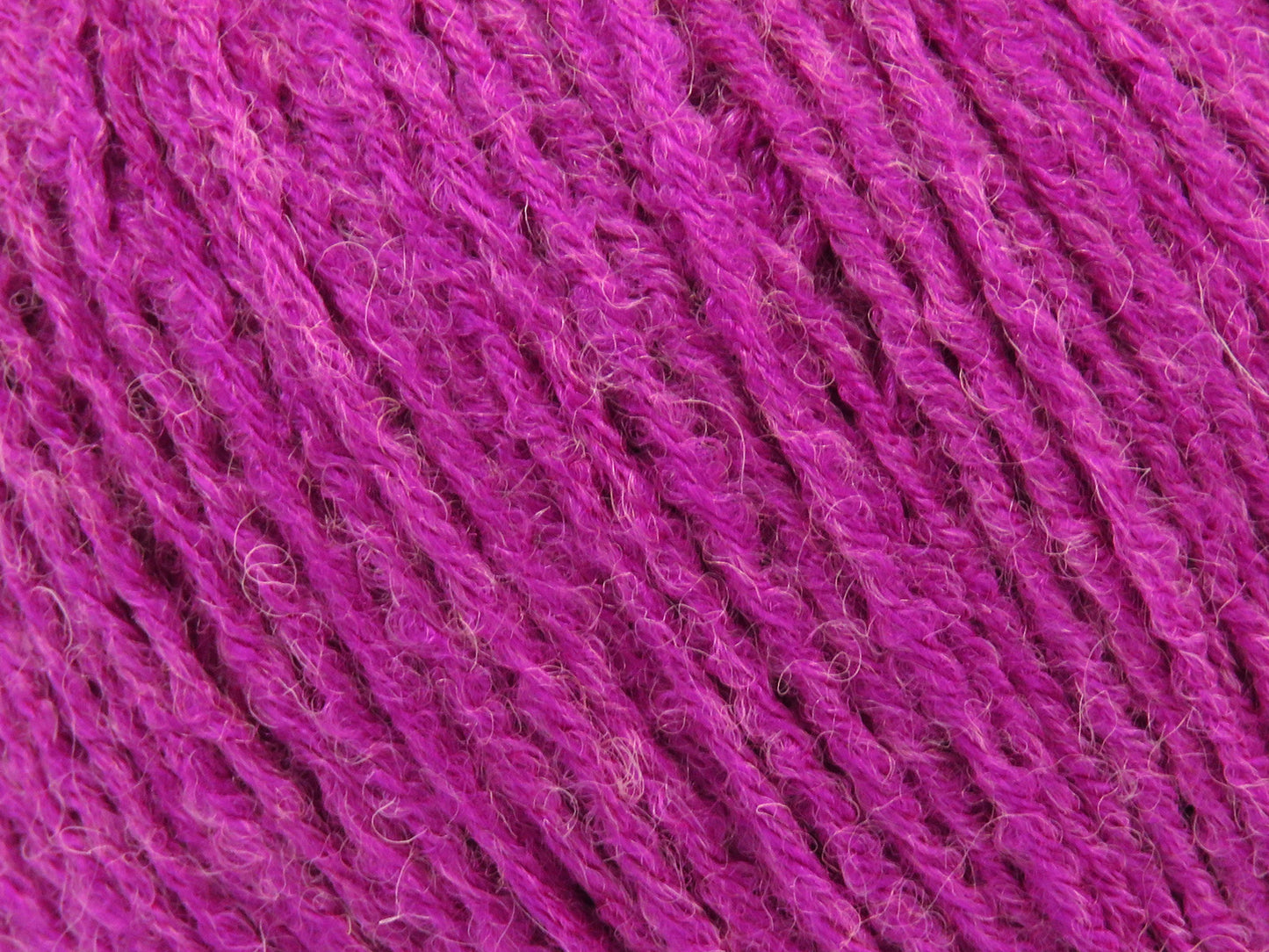 Bambino Merino
