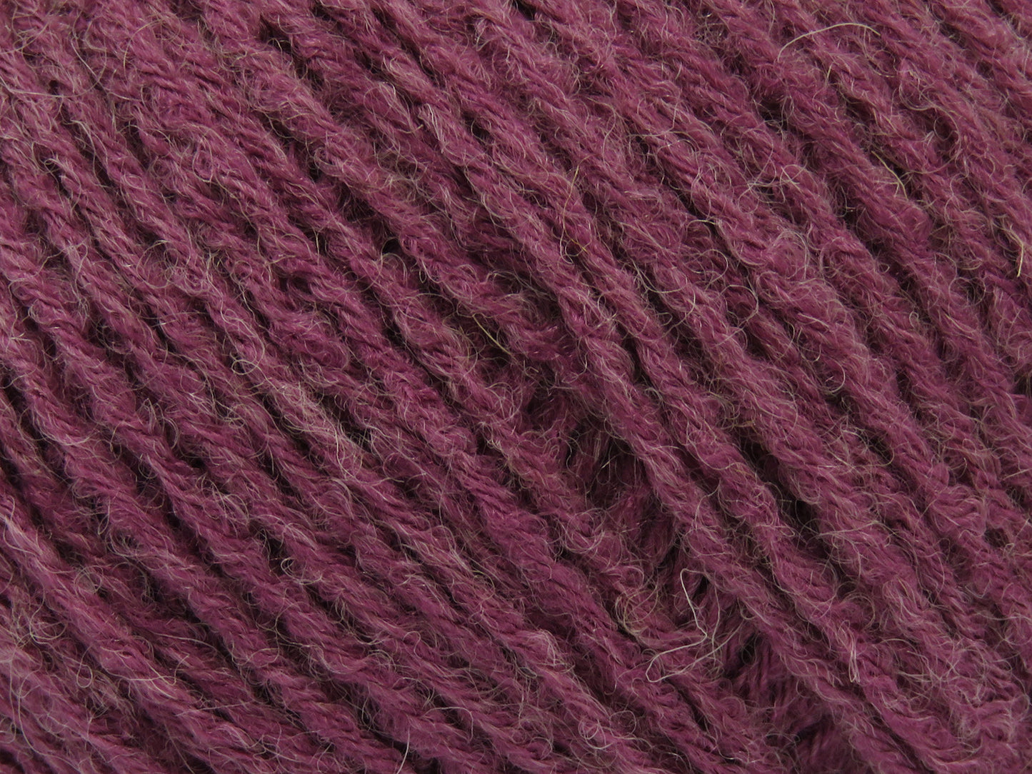 Bambino Merino
