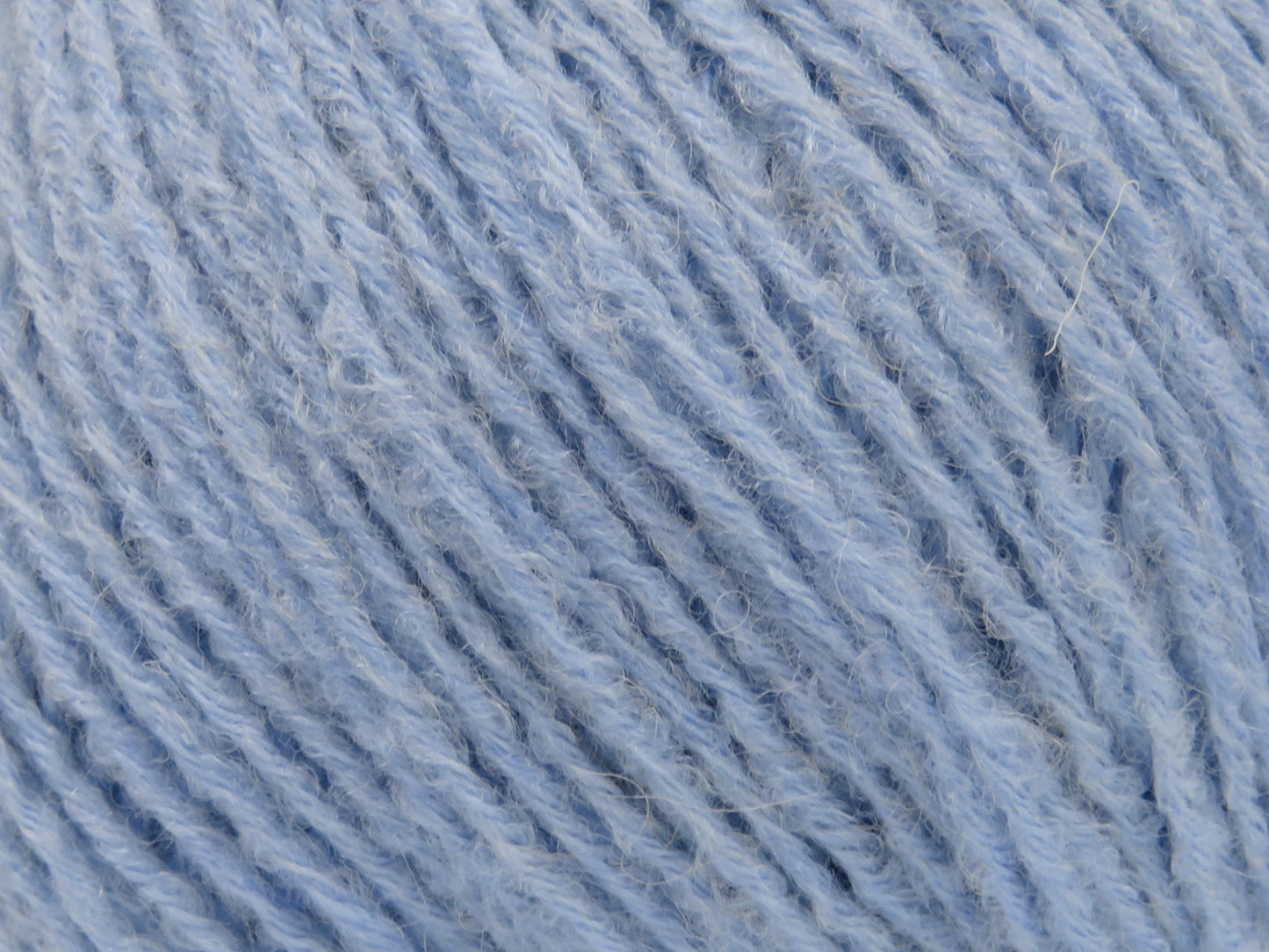 Bambino Merino