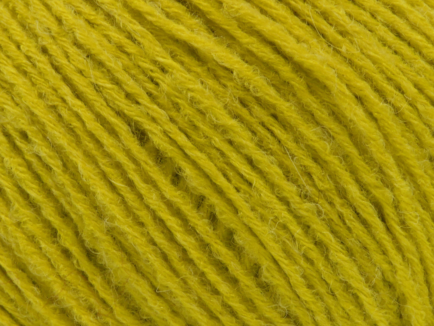 Bambino Merino