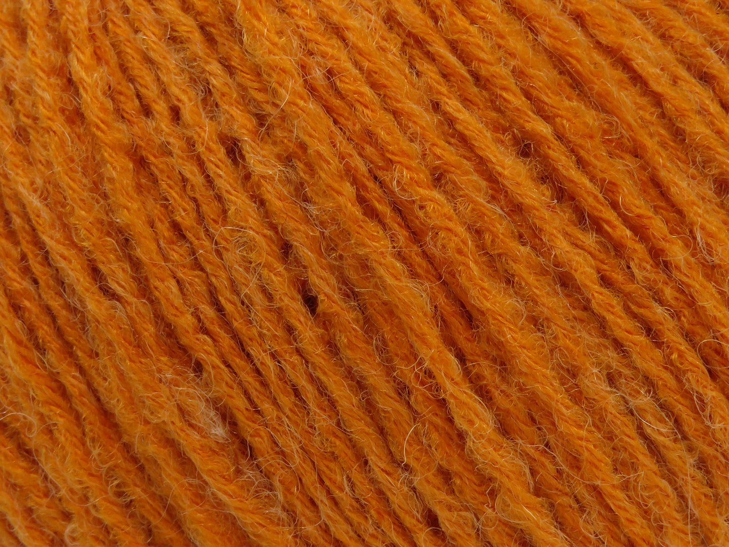 Bambino Merino