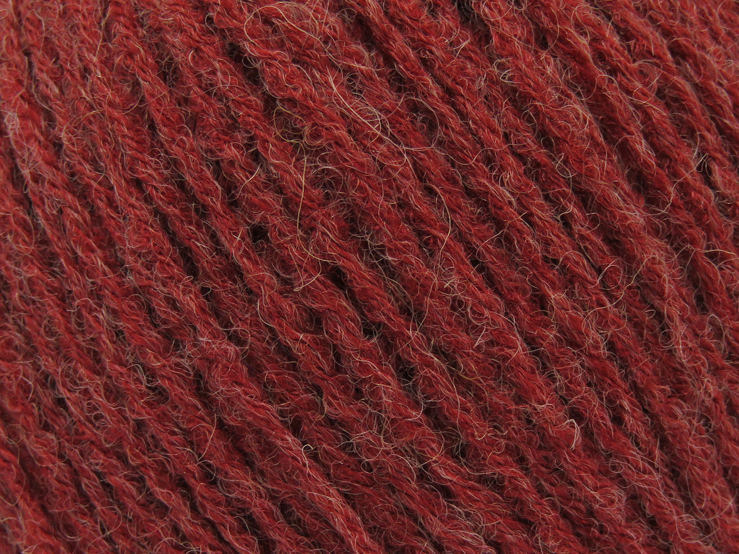 Bambino Merino