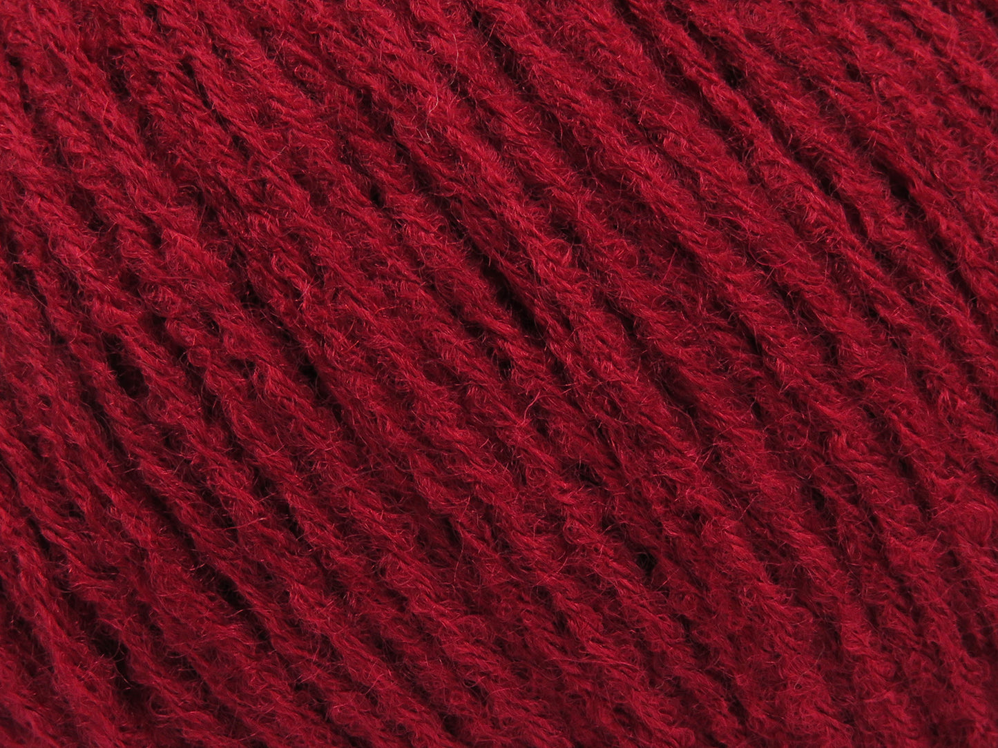 Bambino Merino