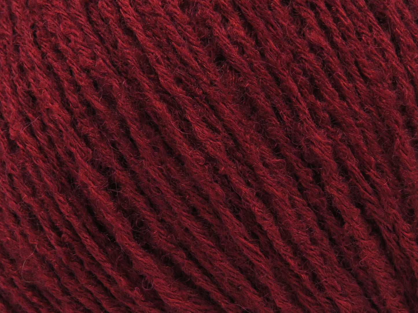 Bambino Merino