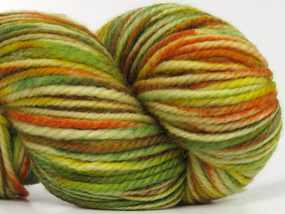 Organic Wool Bulky Hand Paint