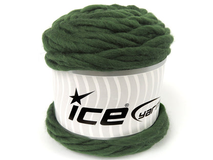 Lot of 2 x 205gr Skeins Ice Yarns CASON (100% Wool) Yarn Grass Green