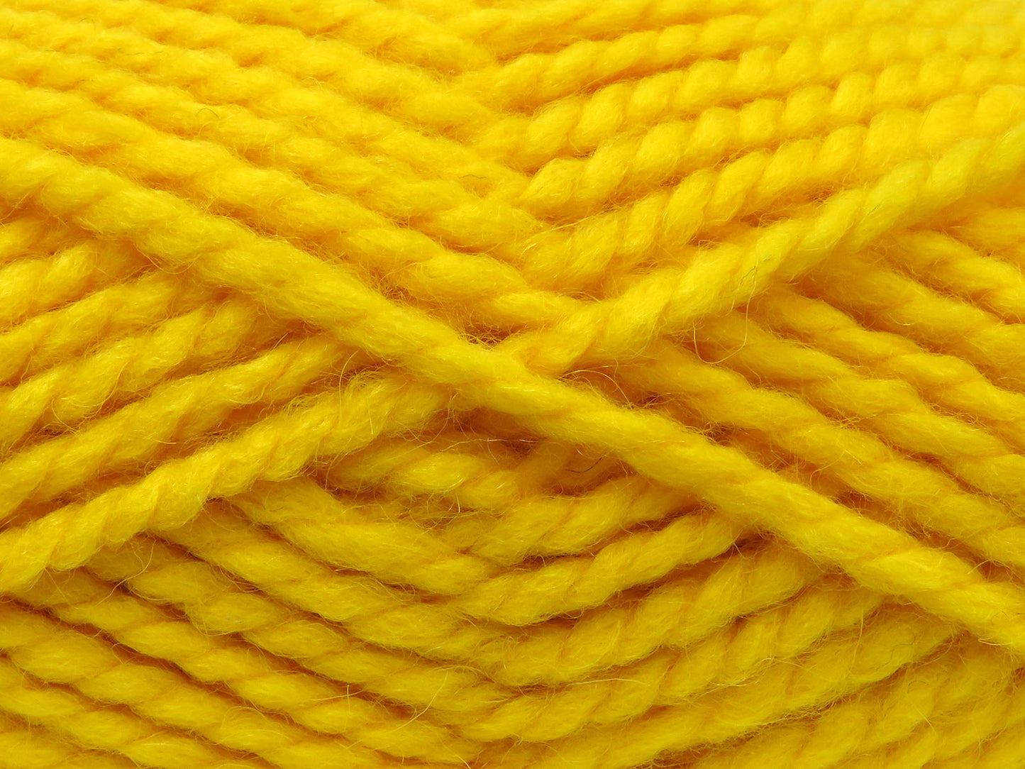 Alpine Alpaca