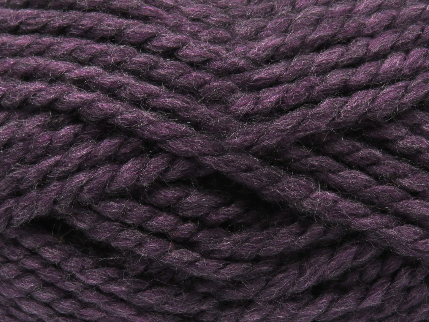 Alpine Alpaca